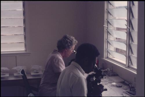 In the laboratory (Margaret Spencer with Jonathan Baloiloi) (2) Bougainville Island, Papua New Guinea, April 1971 [picture] / Terence and Margaret Spencer