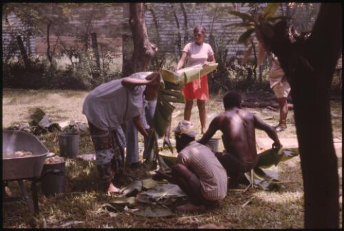Malaria Control Service national staff prepare an earth oven for a party (5) Papua New Guinea, 1976-1978 [picture] / Terence and Margaret Spencer