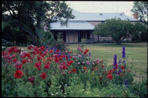 Historic Australian homesteads and gardens, 1994-2000 [picture] / Trisha Dixon