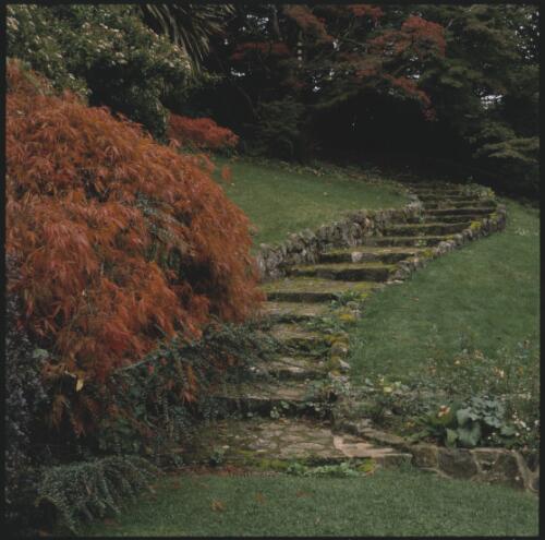 [Hascombe garden, staircase, Mount Macedon, Victoria, April 1999] [transparency] / Trisha Dixon