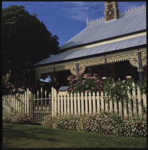 [Historic cottage garden in Beechworth, Victoria, November 1997] [transparency] / Trisha Dixon