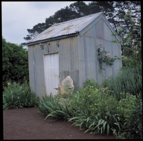 [Minjah, corrugated iron garden shed, Woolsthorpe, Victoria, October 1999] [transparency] / Trisha Dixon