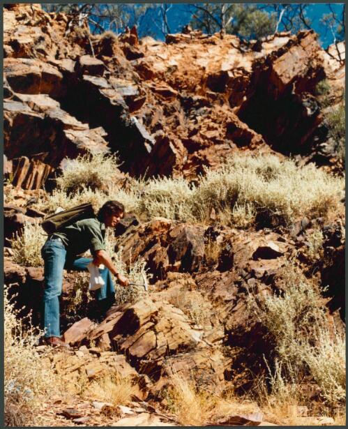 Geologist prospecting in the Mt. Isa area, Qld [picture] / Wolfgang Sievers