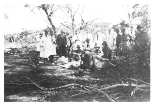 [Group of people picnicking in the bush during a visit to Australia in 1927-1928 by Leopold Amery, British Secretary of State for Dominion Affairs, 1] [picture]