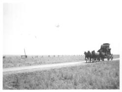 [Cobb and Co. coach travelling along a country road] [picture].