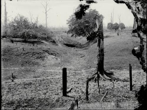 [Dry creekbed with evidence of fire and overgrazing of surrounding landscape with dead trees, New South Wales] [picture] / Robert Morse Withycombe