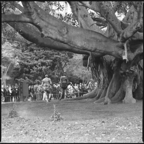 Performance around the giant fig tree, Royal Botanic Gardens, Sydney, 18 August 2000 [2] [picture] / Loui Seselja