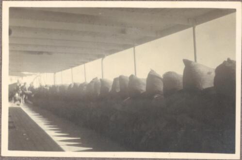 Barricade of [full] ash bag[s against the troopship's handrails] for protection against the Turks in Red Sea, [sailing from Aden and now aproaching the Suez Canal, March? 1915] [picture] / J.P. Campbell