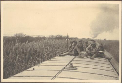 Tall bullrushes [surrounding train as seen] from top of train carriages, [where some soldiers of the 8th Light Horse Regiment travelled during the journey from Suez to Cairo, April 4, 1915] [picture] / J.P. Campbell