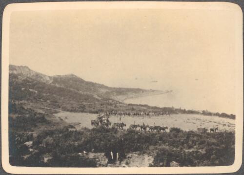 Exercising mules [on the headland above Anzac Beach where soldiers ride the mules in a formation, May? 1915] [picture] / J.P. Campbell