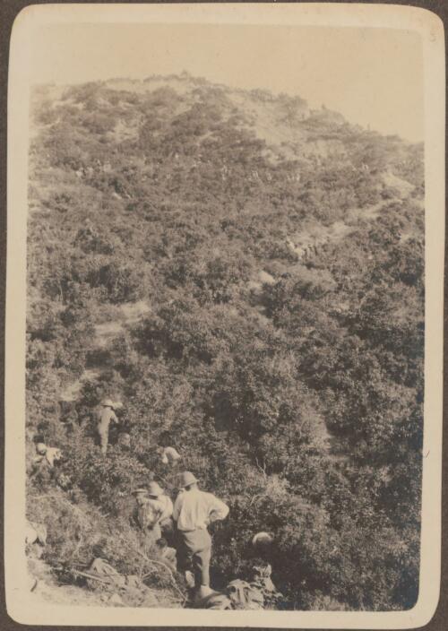 [Anzac soldiers camped near the trenches scout one of the trails leading up one of the surrounding hills, June? 1915] [picture] / J.P. Campbell
