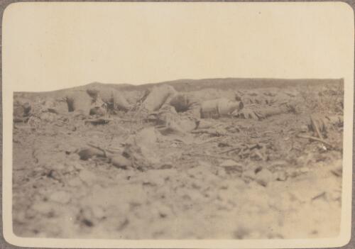 Dead Turks in front of our trenches,1915 [picture] / J.P. Campbell