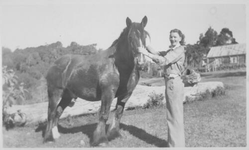 Isla Groom with draught horse Trump at Binna Burra, [Queensland], late 1940s [picture] / Arthur Groom