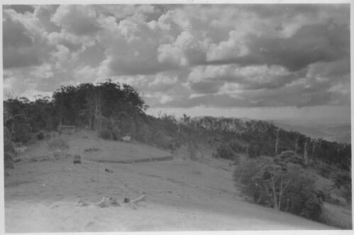The view from the manager's cottage towards Binna Burra Lodge, [Queensland], 1930s or 40s [picture] / Arthur Groom