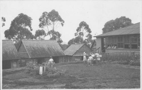 Dining room and cabins, Binna Burra, [Queensland], late 1940s [picture] / Arthur Groom
