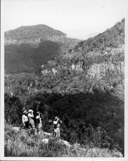 Bushwalkers admire the view at Daves Creek Country, Lamington National Park, [Queensland], probably 1940's. [picture] / Arthur Groom