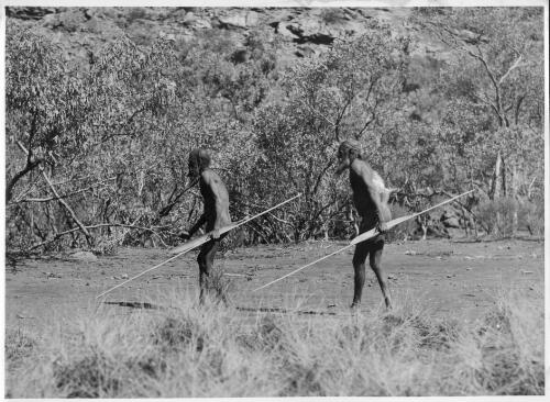 Two native choristers stalking a euro at the foot of the Red Wall, Central Australia, [Northern Territory] [picture] / Arthur Groom