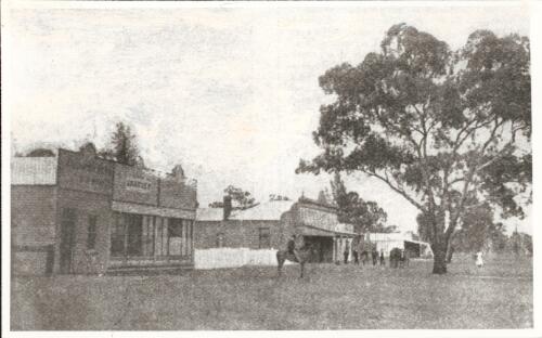 [Green Street, south side looking west, Lockhart, New South Wales, 1898] [picture]