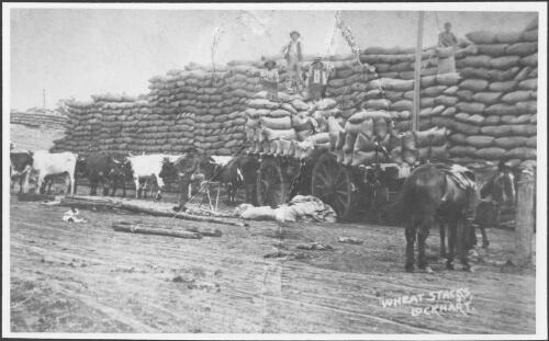 Wheat stacks at Lockhart railway station after [the] opening of the railway [picture]
