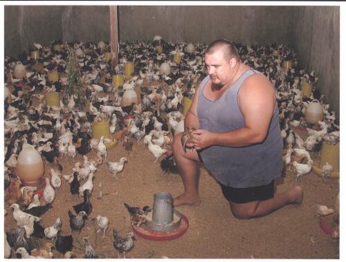 [Nathan Mood from Cairns at a poultry farm in Tibar, near Dili, East Timor on Sept. 3-4, 2001] [picture] / Francis Reiss