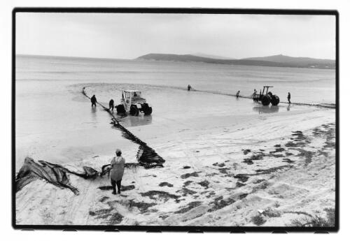[Method of catching and hauling the salmon] [picture] / Roger Garwood