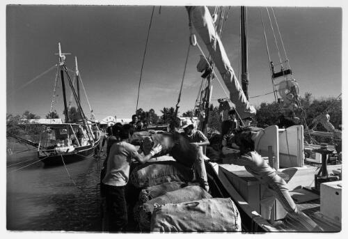 [Unloading pearl shells, Broome] [picture] / Roger Garwood
