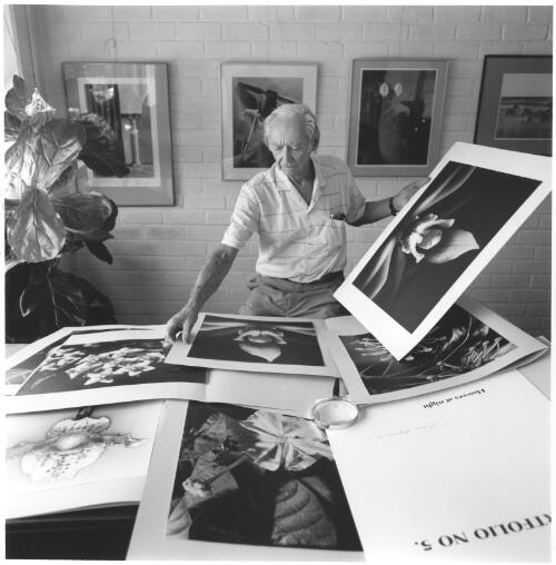 Max Dupain sorting prints for Flower Portfolio in Artarmon Studio, 1991 [picture] / Jill White