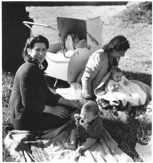 Gypsies in The Domain, [Sydney], 1930s [picture] / [Max Dupain]