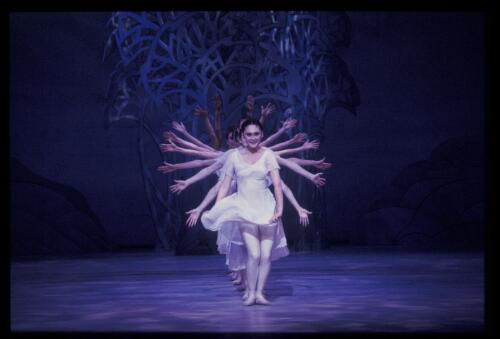 [Australian Ballet performance of, Of blessed memory, June 1992, 1] [transparency] / Don McMurdo