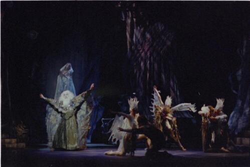 [Camelot performance,  Her Majesty's Theatre, August, 1984, 1] [picture] / Don McMurdo