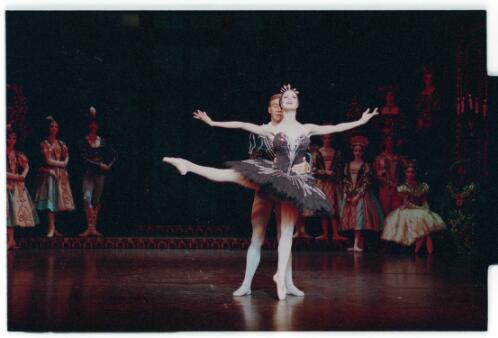[Odile and Prince Siegfried in Australian Ballet performance of Swan lake, Act III, March 1991] [transparency] / Don McMurdo