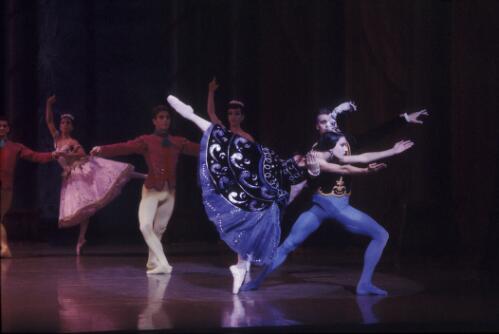 [Artists of the Australian Ballet in Gala performance, April 1991, 2] [transparency] / Don McMurdo