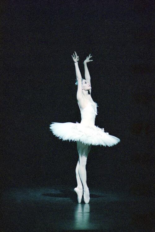 [Portrait of Miranda Coney as Odette in Swan lake, the Australian Ballet, March, 1991] [picture] / Don McMurdo