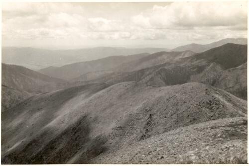 [Bogong High Plains as viewed by the trail riders, 1929] [picture] / Victorian Government Tourist Bureau