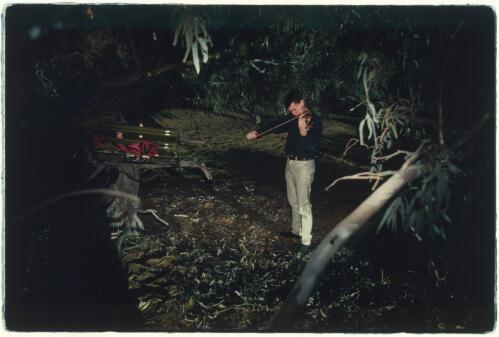 Violinist James Cuddeford rehearses amongst the gum trees prior to the Australian String Quartet's performance in a creek bed at the Clayton Station during their 1999 South Australian outback tour [picture] / Ian Kenins