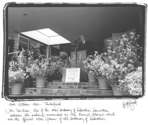 John Trevillian, CEO of the NSW Centenary of Federation Committee, addresses the audience, surrounded by the Flannel flowers which are the official NSW flower of the Centenary of Federation, 24th October 2001, Tenterfield [picture] / Wendy McDougall