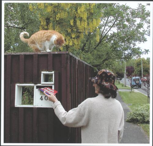 [Volunteer placing a campaign leaflet in letter box in Surrey Hills to promote Anna Burke's election campaign for the Federal seat of Chisholm, Melbourne, October or November, 2001] [picture] / Francis Reiss