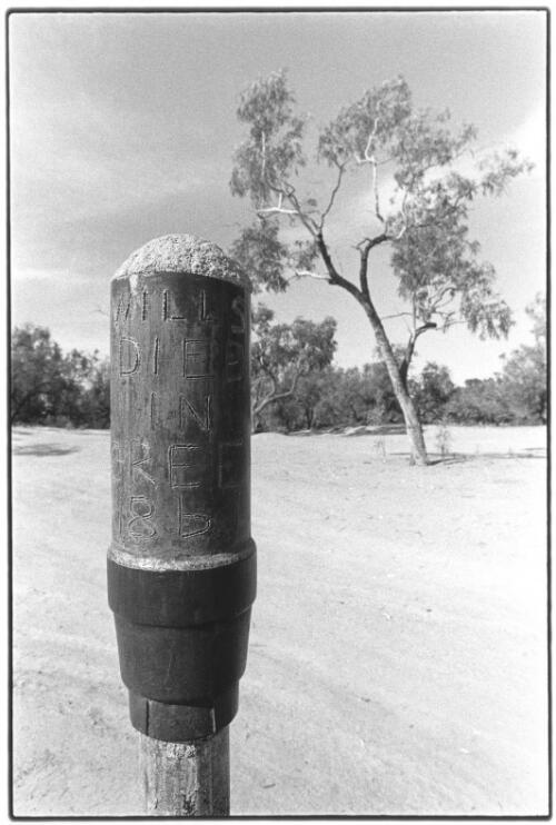 Memorial to Wills, Cooper Creek, South Australia, November, 2001 [picture] / Jon Rhodes