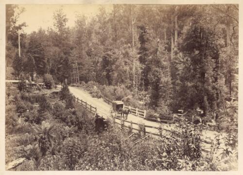 [Horse and cart on bridge through woodlands, Blue Mountains, New South Wales] [picture]