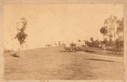[View of a house on a hill, men with horses and a wagon] [picture] / J. McEachen photographer