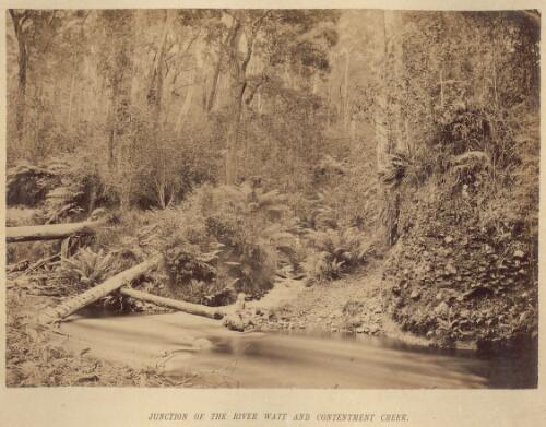 Junction of the River Watt and Contentment Creek [Victoria] [picture] / N. J. Caire