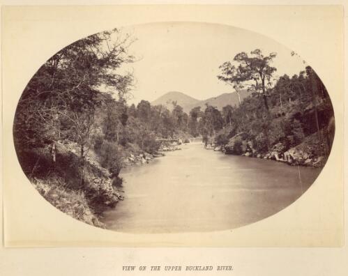 View on the upper Buckland River [Victoria] [picture] / N. J. Caire