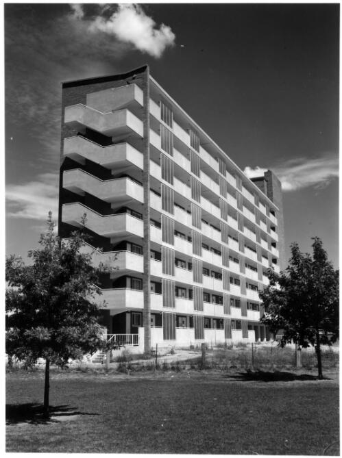 [Flats at Braddon, Canberra, 1960] [picture] / W. Pedersen