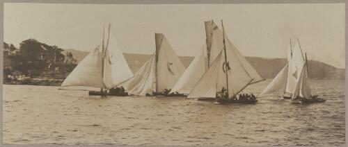 Peace, [yachts on] Sydney Harbour [picture] / J.P. Campbell