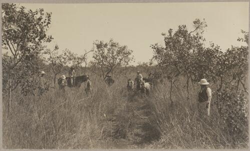 On the Daly River track, apple bush country, the first vehicular traffic for a year [picture] / J.P. Campbell