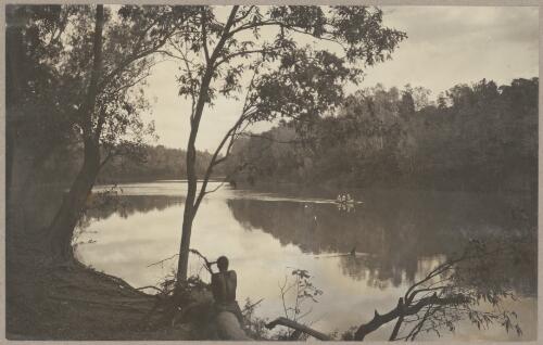 The Daly River above the landing, a fine waterway 100 yards wide, tidal influence four feet [picture] / J.P. Campbell