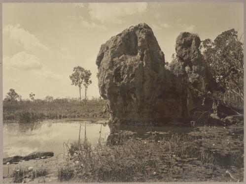 Typical granite flats country, permanent water, Batchelor, Northern Territory, 1912 [picture] / J.P. Campbell