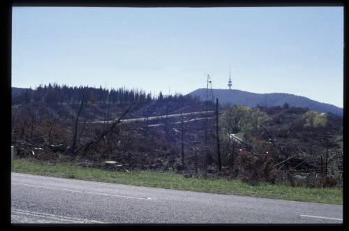 Collection of photographs of bushfire damage in the Australian Capital Territory, 24 April 2002 [transparency] / Loui Seselja