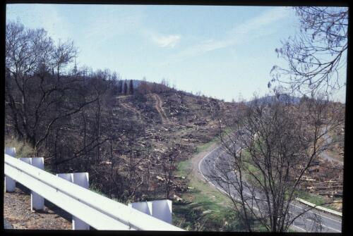 [Bushfire damage along the roadside, Australian Capital Territory, 24 April 2002] [transparency] / Loui Seselja