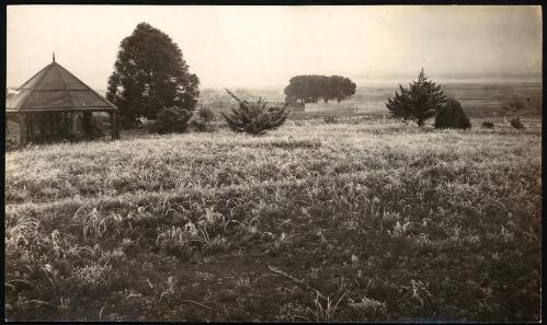 Frost on the grass, Canberra [Duntroon 1920s] [picture] / [Frank H. Boland]